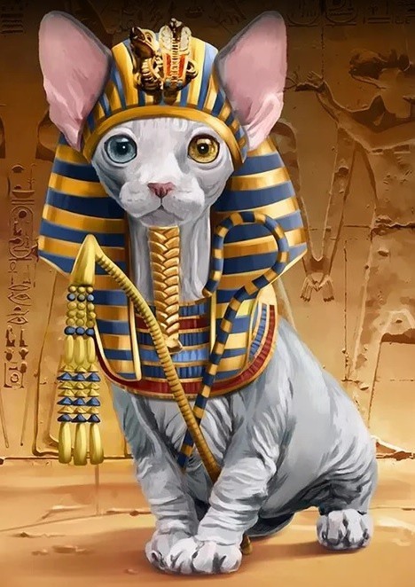WD2511 "Pharaoh Sphynx Cat(-)" Wizardi