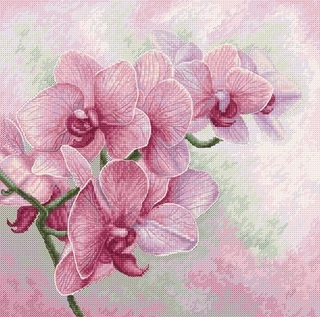 В7009 "Изящные орхидеи" Лука-С