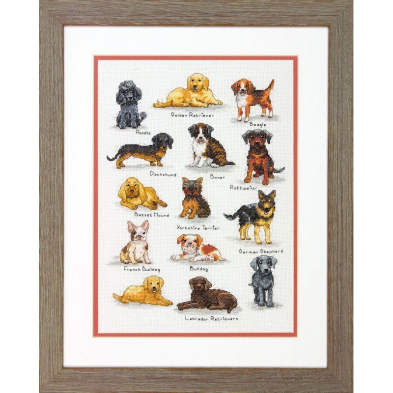 70-35353 "Dog Sampler (Собачий каталог)" Dimensions