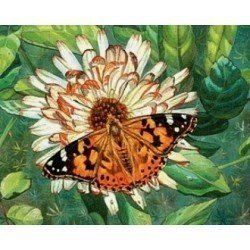 АЖ-1205 "Бабочка на цветке" Алмазная живопись