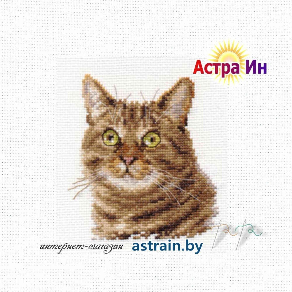 0-135 "Европейский кот" Алиса