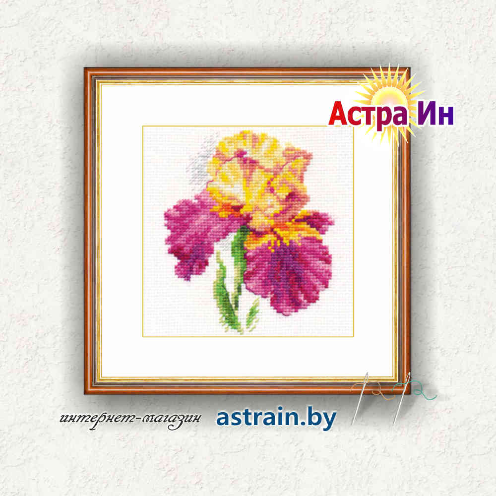 0-136 "Ирис" Алиса