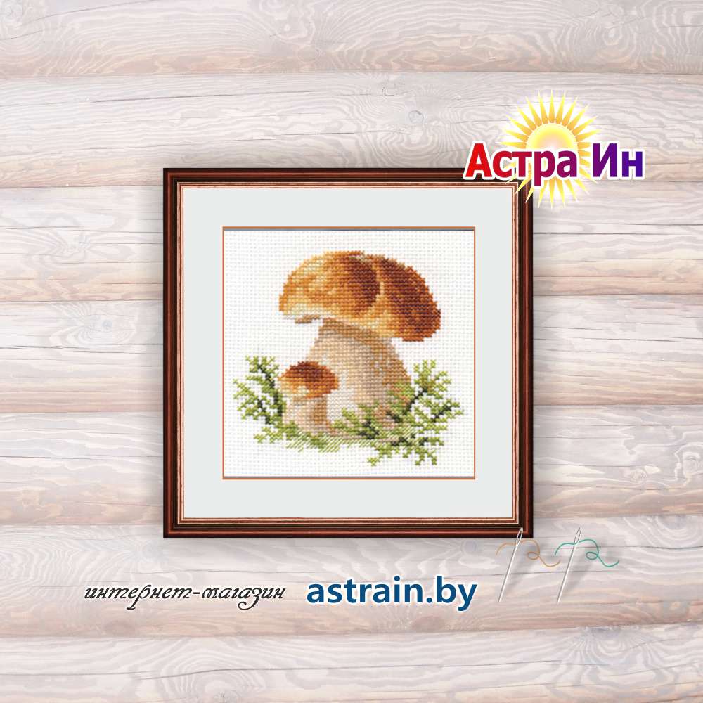 0-144 "Белые грибы" Алиса