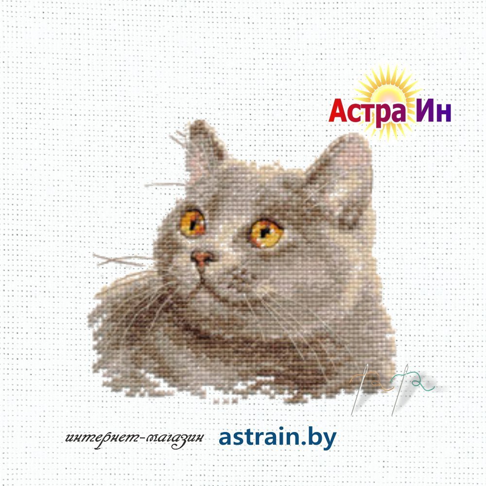 0-134 "Британский кот" Алиса
