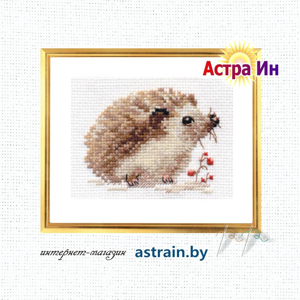 0-171 "Ежонок" Алиса