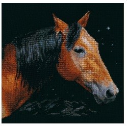 1-18 "Альтаир" Алиса