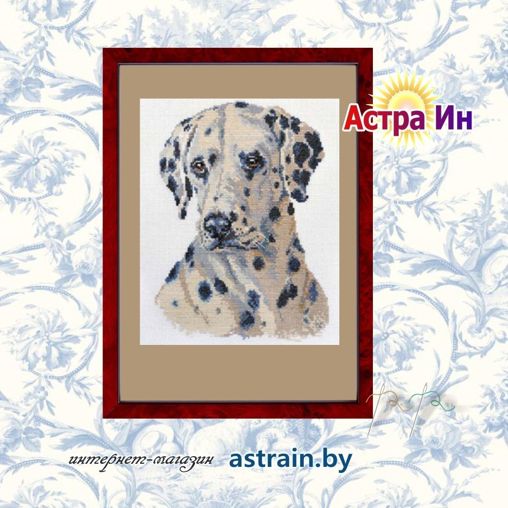 1-05 "Далматин" Алиса
