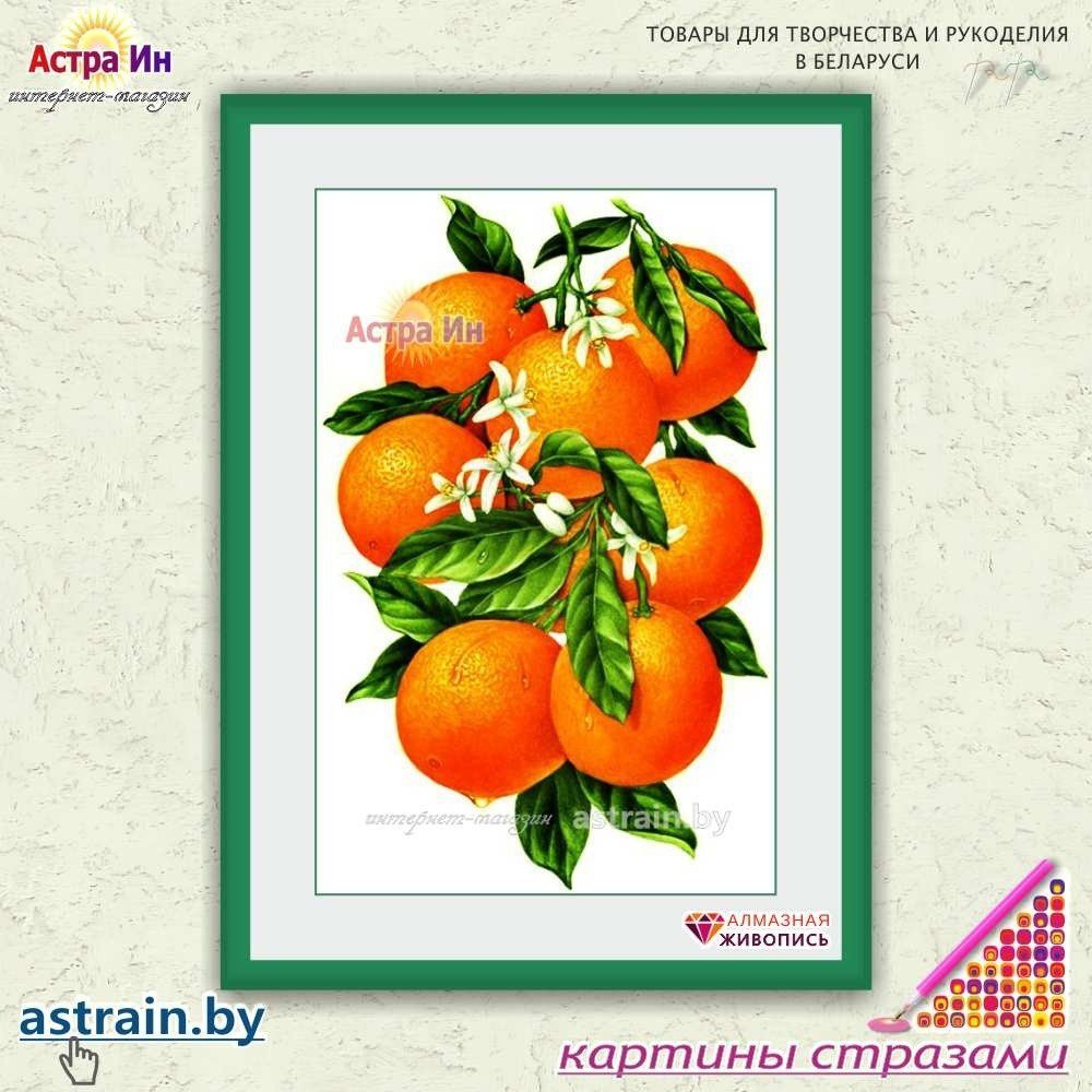 АЖ-1091 "Гроздь апельсинов" Алмазная живопись