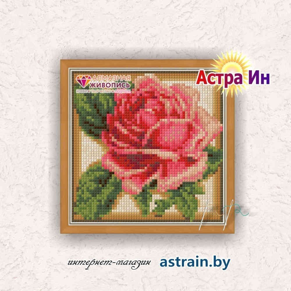 АЖ-1450 "Румяная роза" Алмазная живопись