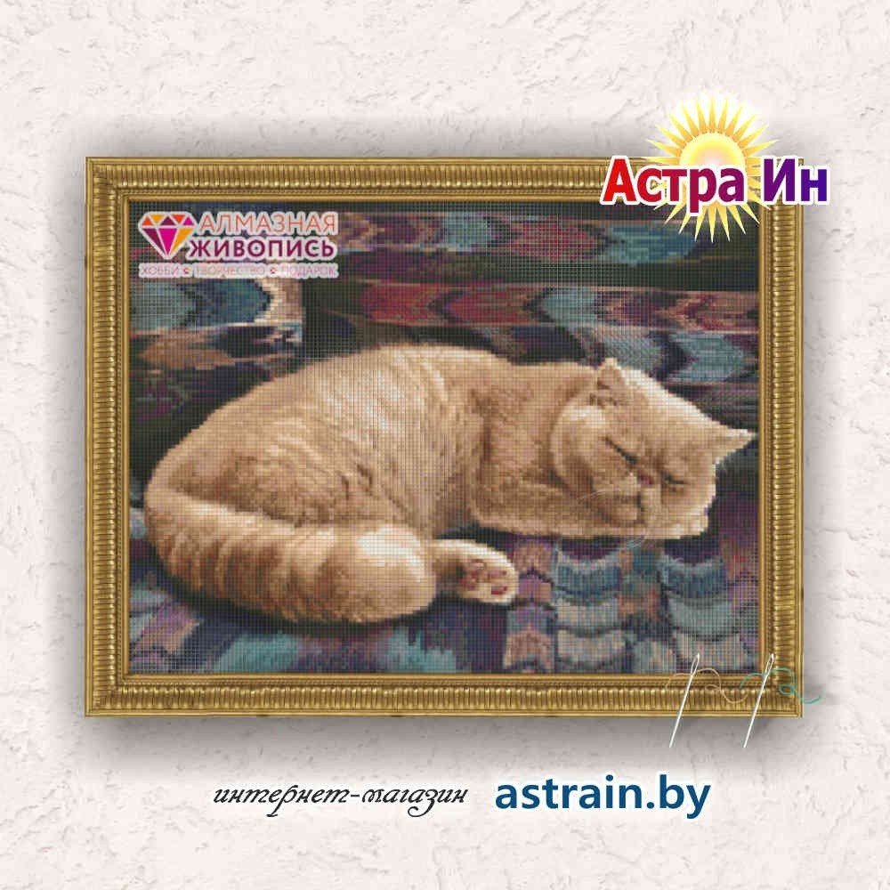 АЖ-1462 "Персидский кот" Алмазная живопись