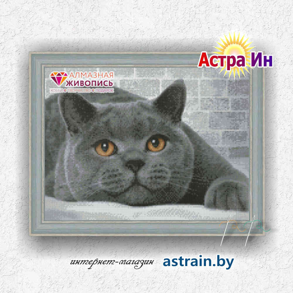АЖ-1463 "Британский кот" Алмазная живопись