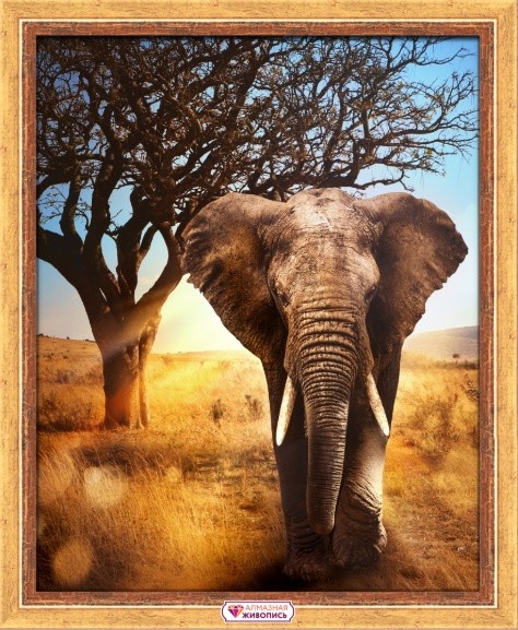 АЖ-1783 "Африканский слон" Алмазная живопись