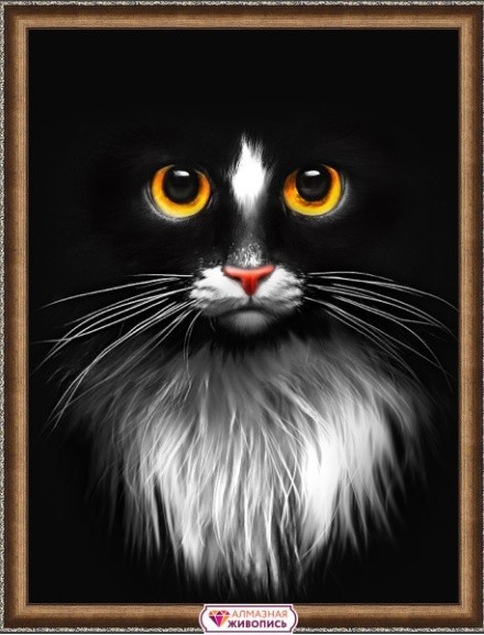 АЖ-1899 "Черный кот" Алмазная живопись