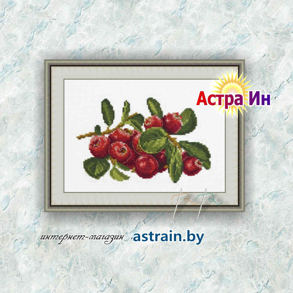 786 "Брусника" Овен