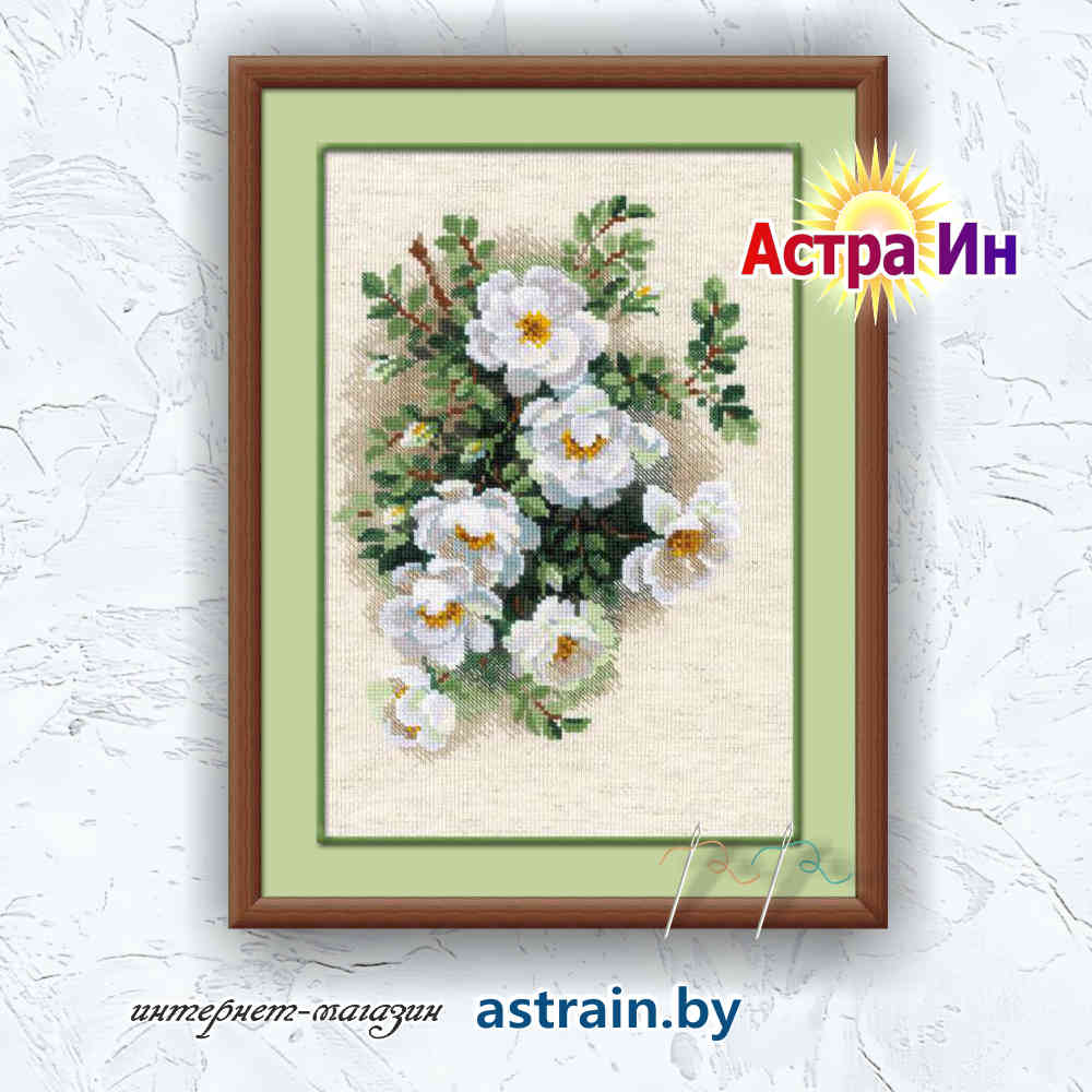 1351 "Белый шиповник" Риолис