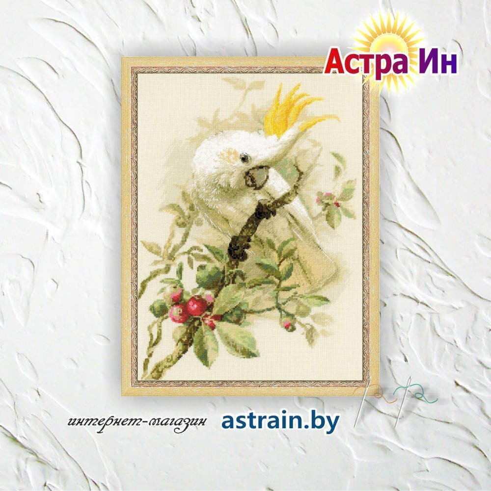 1362 "Белый какаду" Риолис