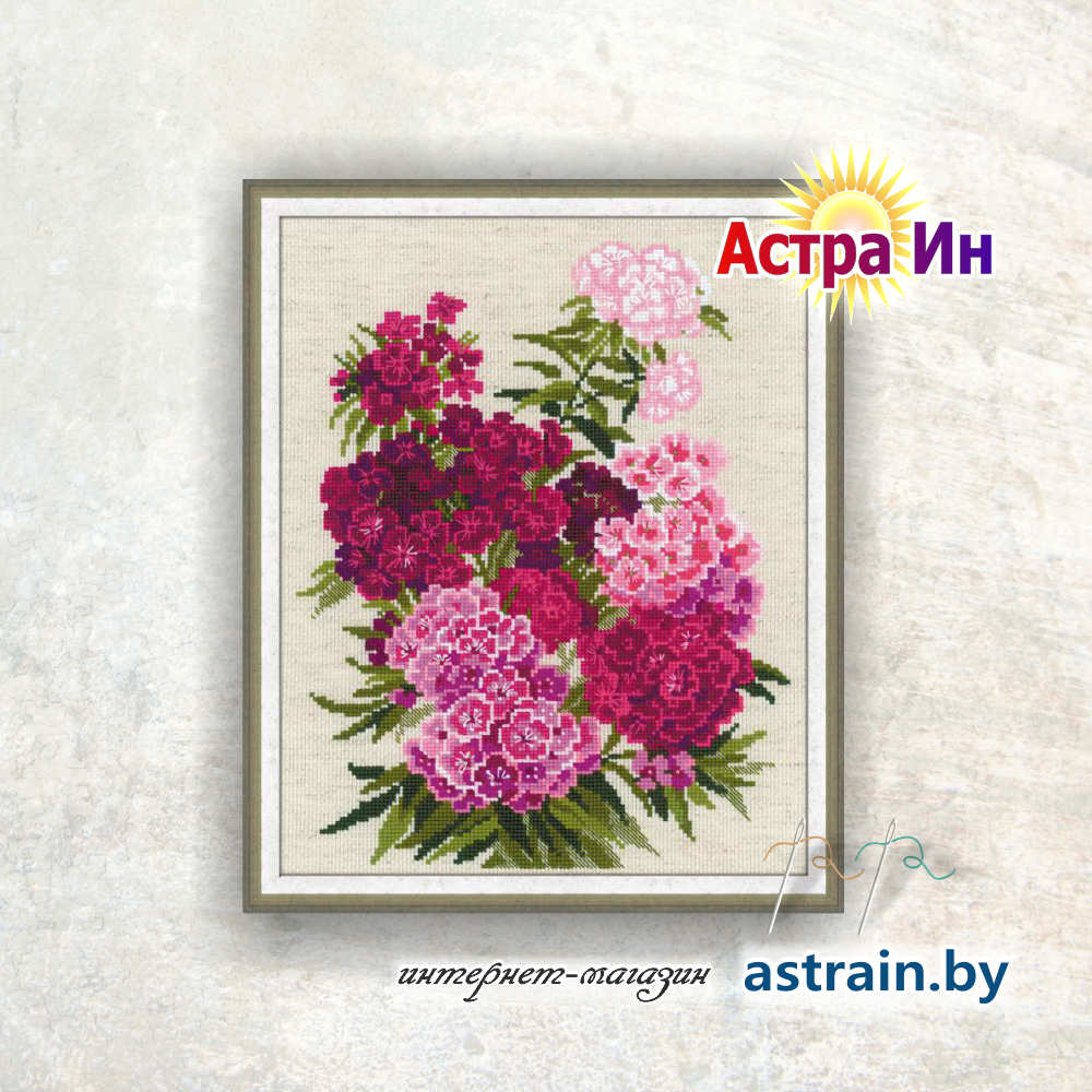 1463 "Турецкая гвоздика" Риолис