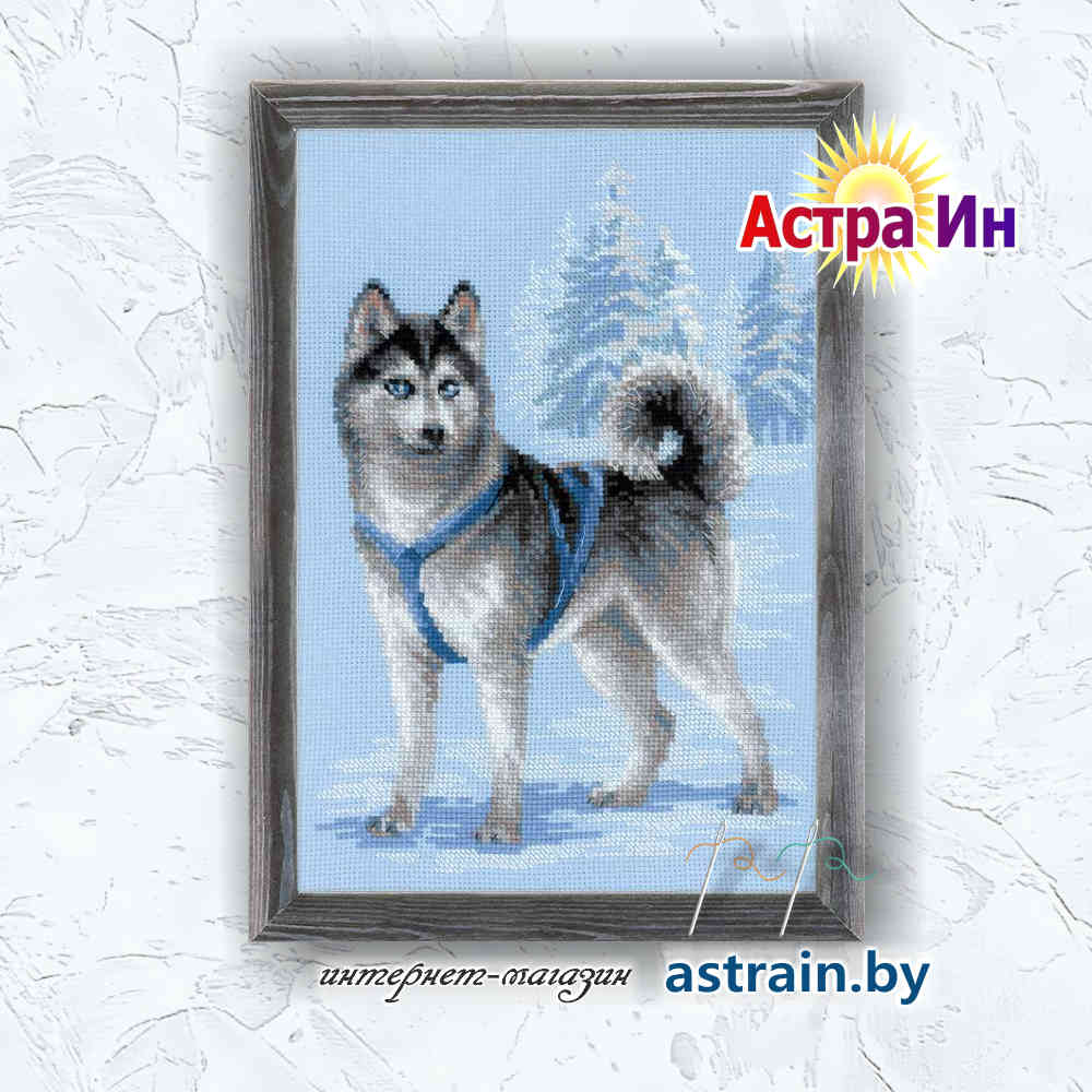 1626 "Хаски" Риолис