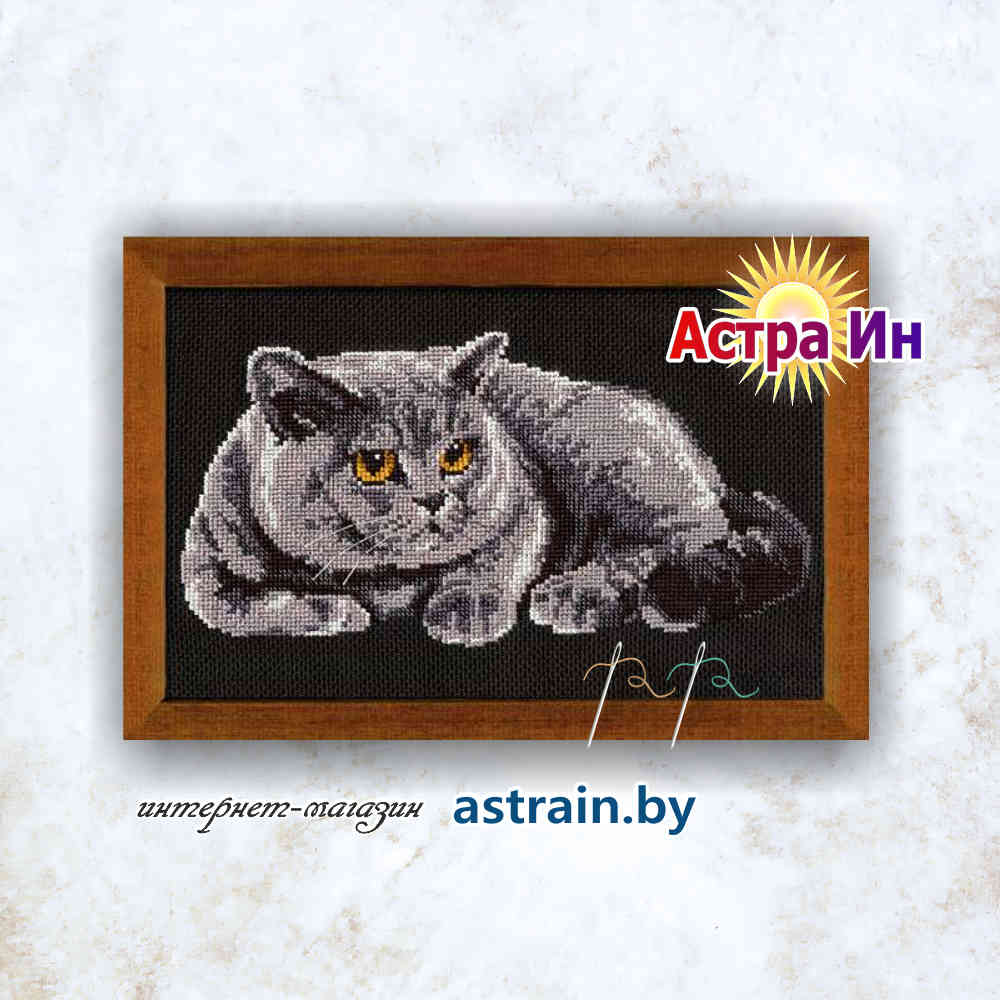 848 "Британец" Риолис