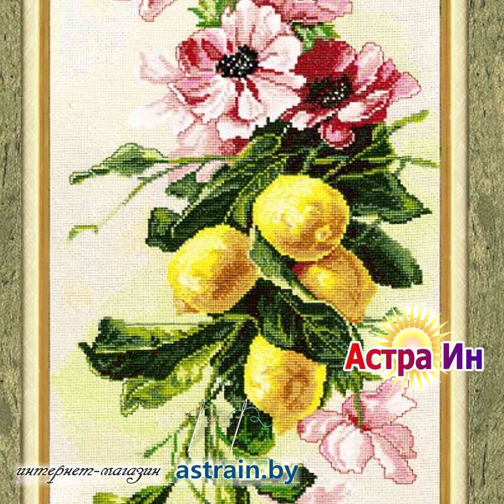 ФС-002 