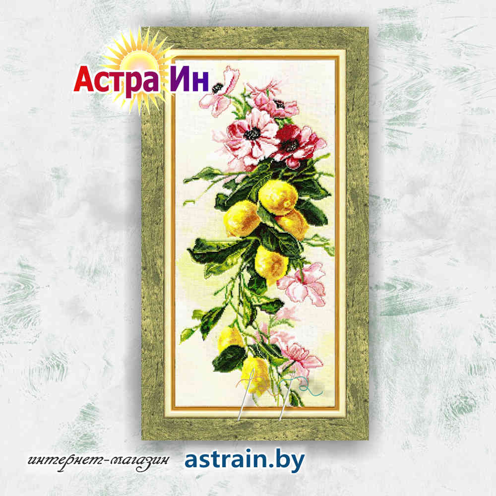 ФС-002 