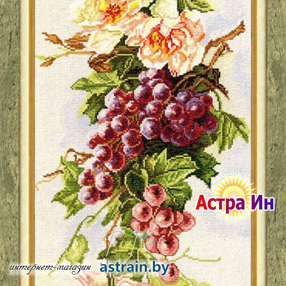 ФС-003 