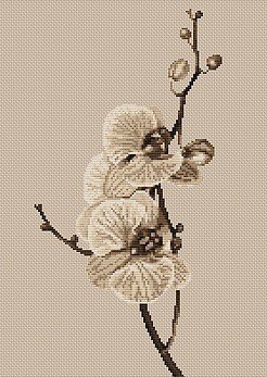 В291 "Орхидеи" Лука-С