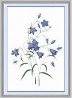 НП-012 