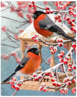 WD3043 "Two bullfinches 40х50" Wizardi