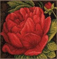 PN-0144515 "Пион" Lanarte