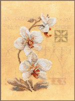 PN-0008008 "Трио орхидей" Lanarte