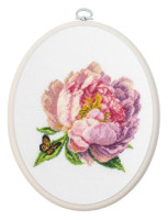 BC206 "''Rozella'' Peony" Лука-С
