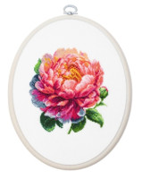 BC205 "''Coral Charm'' Peony" Лука-С