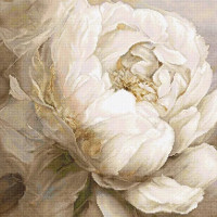 L8083 "Peony Poses" Лука-С