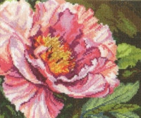 2-15 "Пион" Алиса