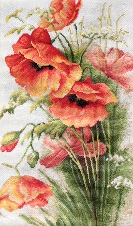 В213 