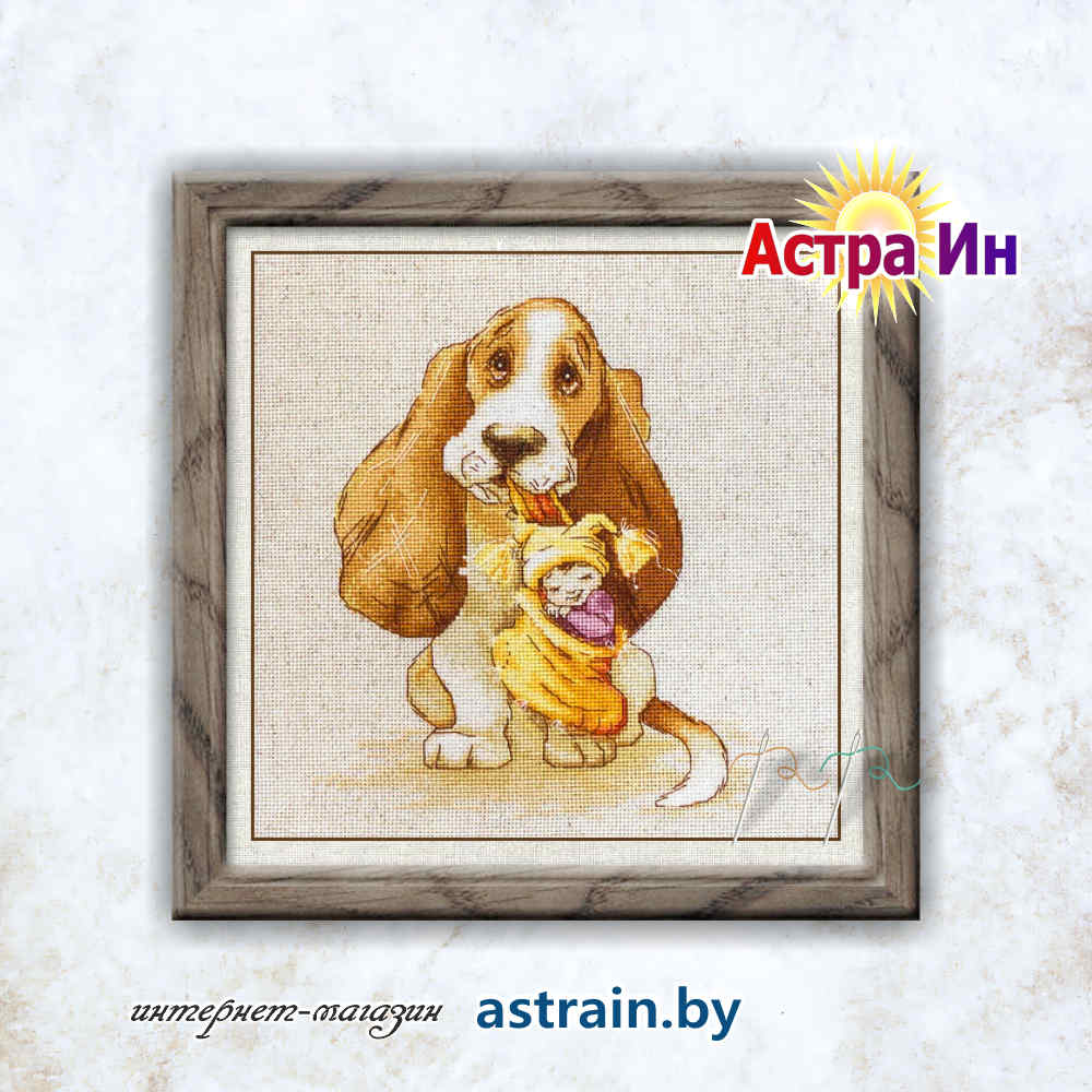 В1121 "Бассет" Лука-С
