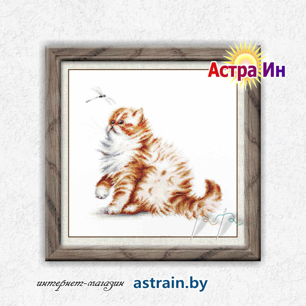 В2270 "Кошка со стрекозой" Лука-С