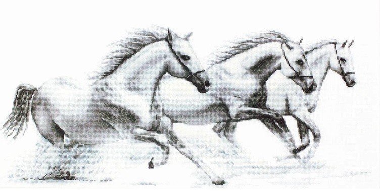 В495 "Белые лошади" Лука-С