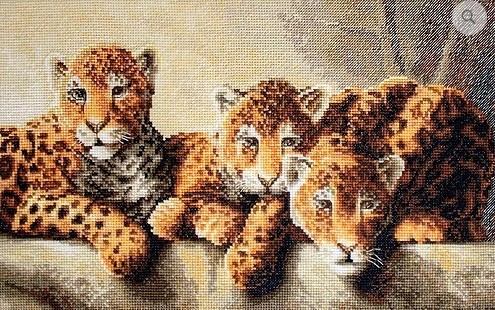 LETI-910 "Leopards (Леопарды)" Лука-С