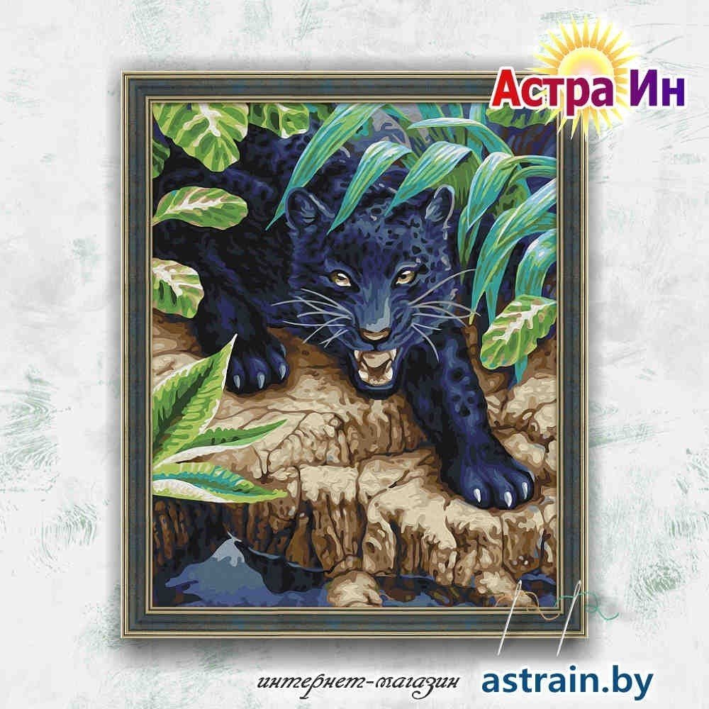 7C-0191 "Чёрный леопард" Мосфа (40х50 см, холст)