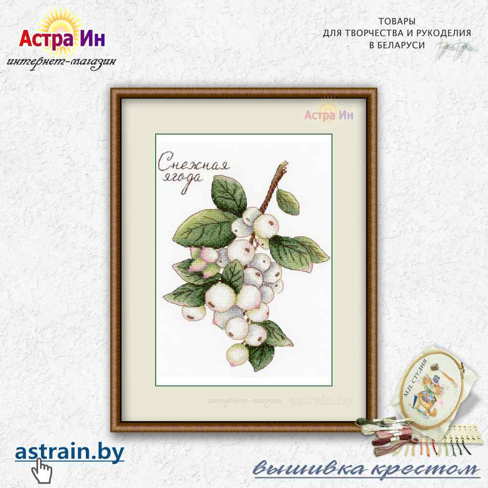 НВ-662 "Дары природы. Снежная ягода" М.П. Студия