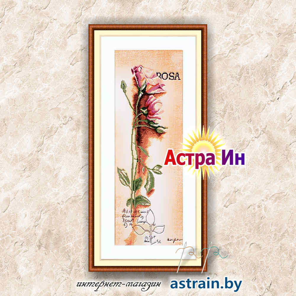 PN-0008050 (34926) "Роза" Lanarte