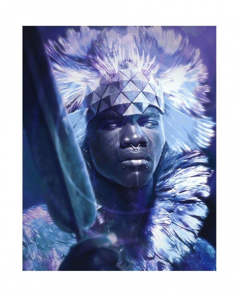 WD144 "Король Африки" Wizardi
