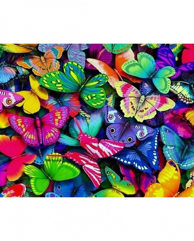 WD057 "Разноцветные бабочки" Wizardi