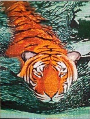 WD2413 "Тигровые воды" Wizardi