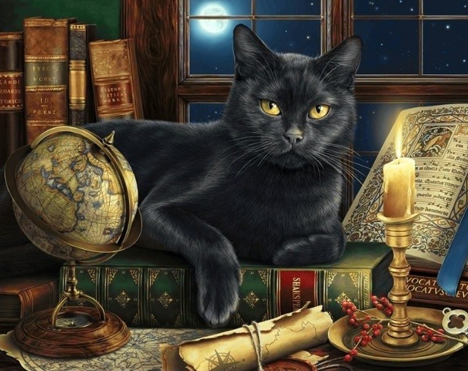 WD2485 "Мудрый кот" Wizardi