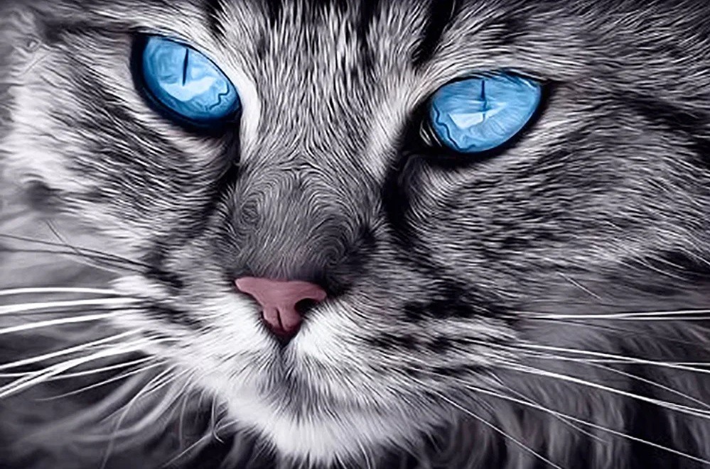 WD2517 "Blue-Eyed Cat (Голубоглазый кот)" Wizardi
